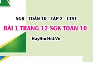 Giải bài 1 trang 12 Toán 10 Tập 2 SGK Chân trời sáng tạo